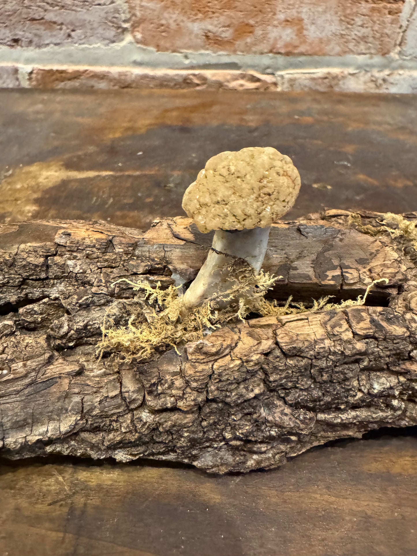 Handcrafted quartz mushrooms on bark art sculpture home decor