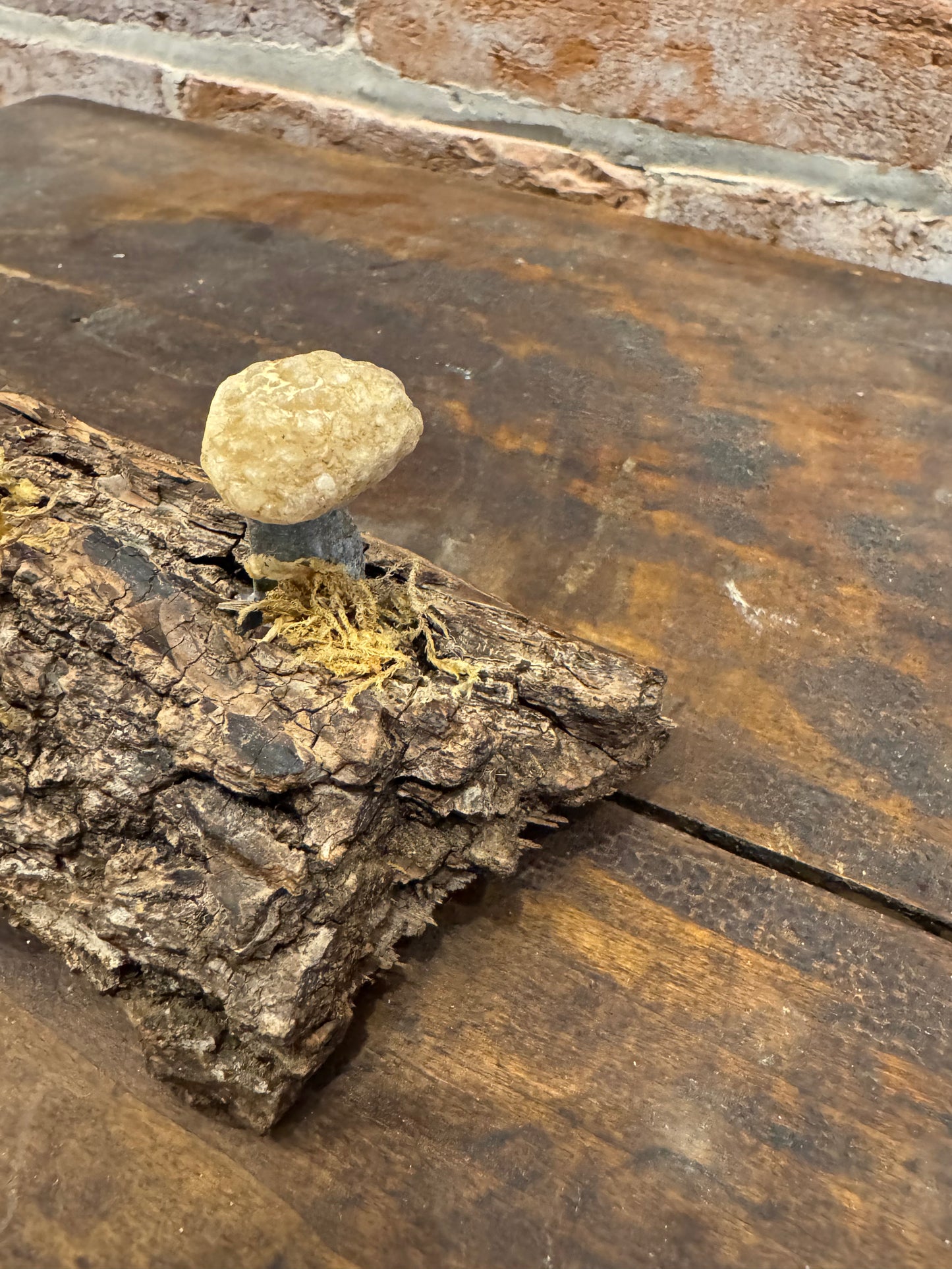 Handcrafted quartz mushrooms on bark art sculpture home decor