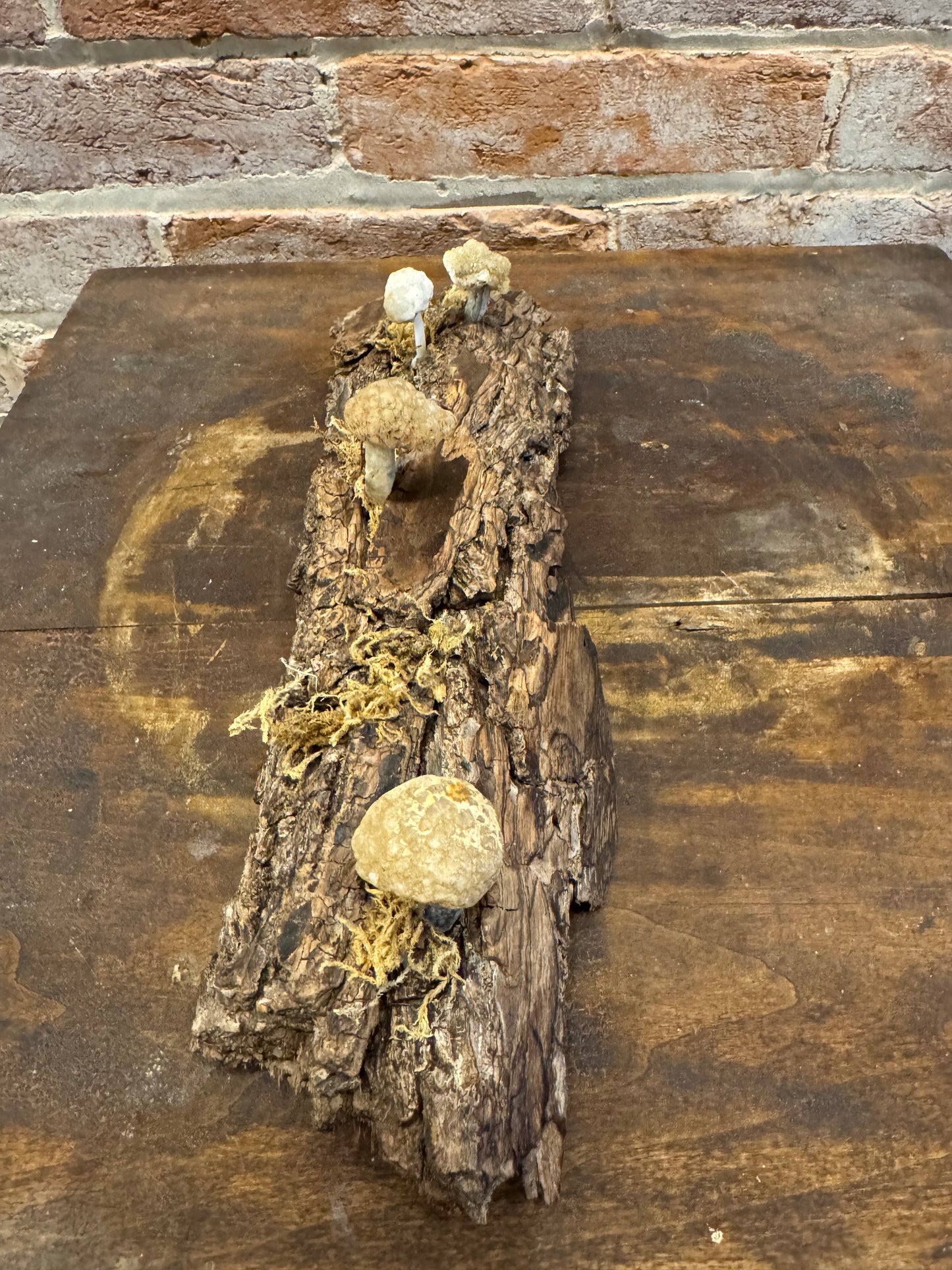 Handcrafted quartz mushrooms on bark art sculpture home decor