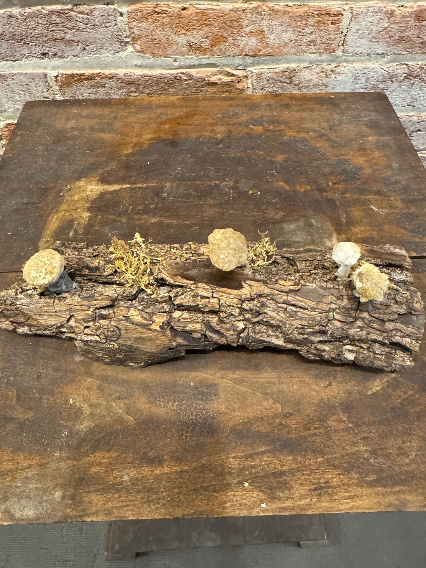 Handcrafted quartz mushrooms on bark art sculpture home decor