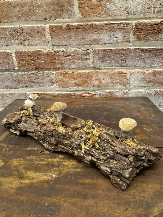 Handcrafted quartz mushrooms on bark art sculpture home decor