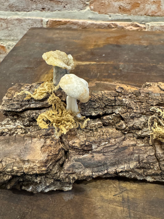 Handcrafted quartz mushrooms on bark art sculpture home decor