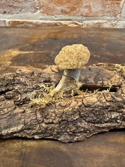 Handcrafted quartz mushrooms on bark art sculpture home decor