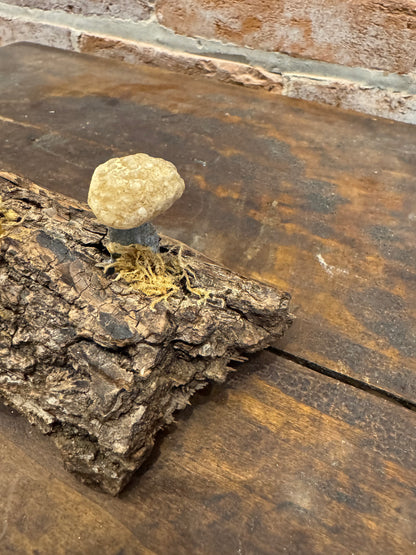Handcrafted quartz mushrooms on bark art sculpture home decor