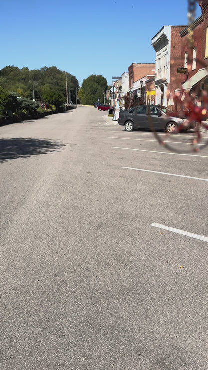 Red and Oranger Spider in Web Ornament